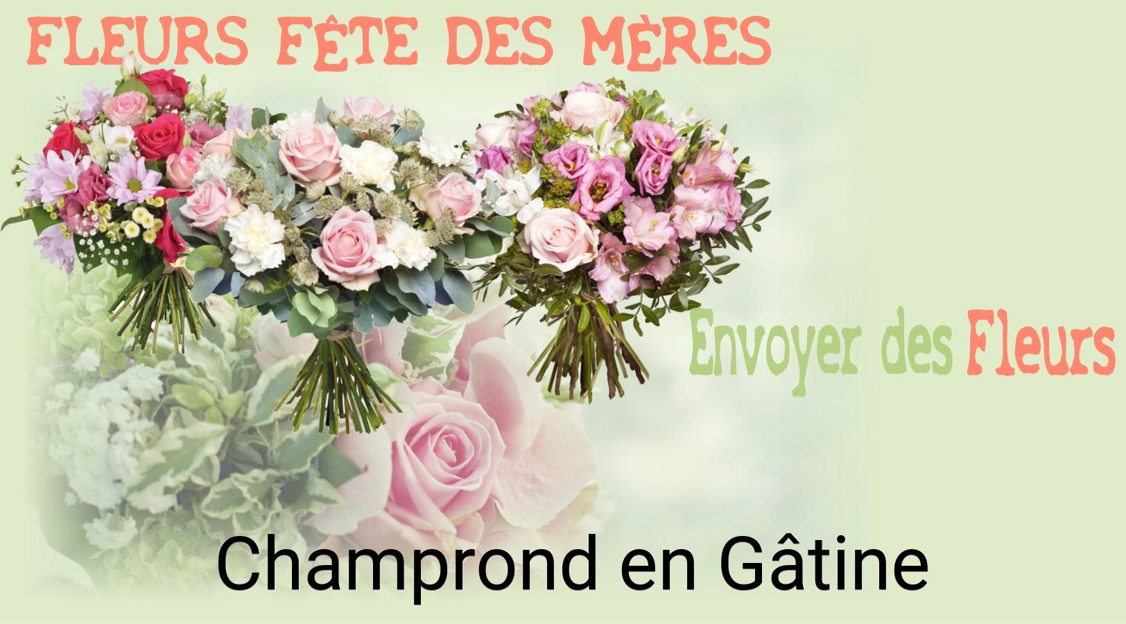 Bouquet de Fête des Mères livré à Champrond-en-Gâtine